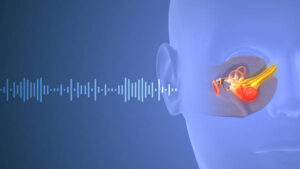 Read more about the article How Sounds Good Hearing Care Coimbatore Helps You Hear the World Anew