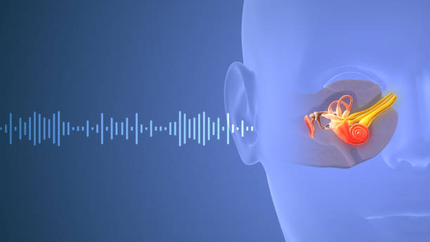 Read more about the article How Sounds Good Hearing Care Coimbatore Helps You Hear the World Anew